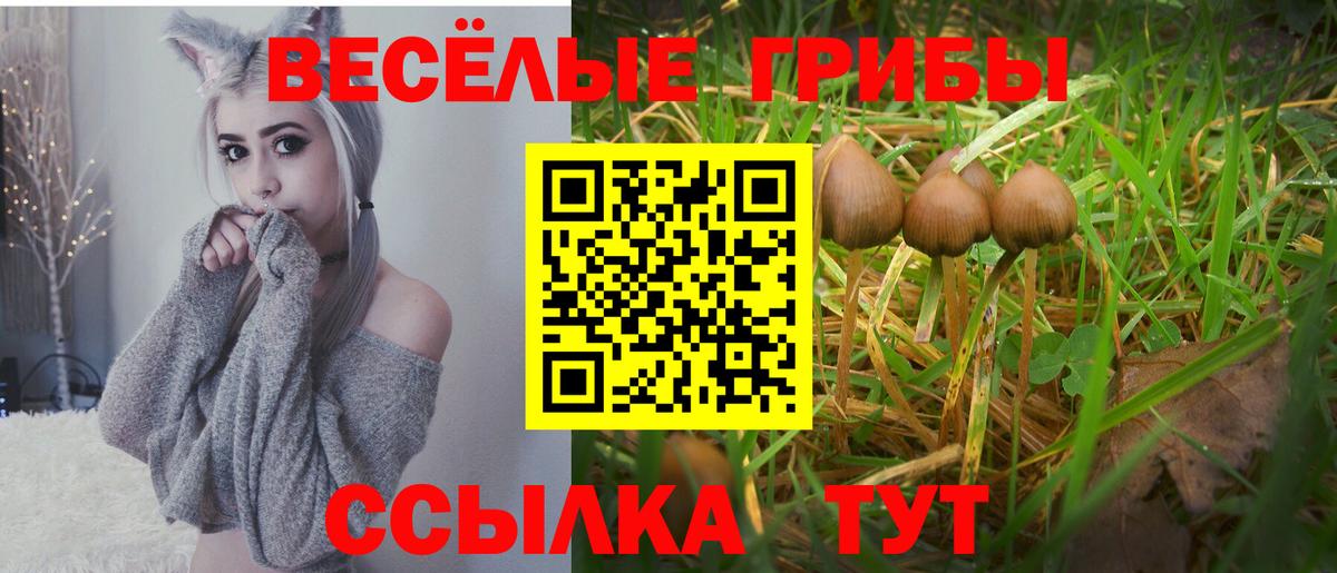Галлюциногенные грибы прущие грибы Усть-Илимск